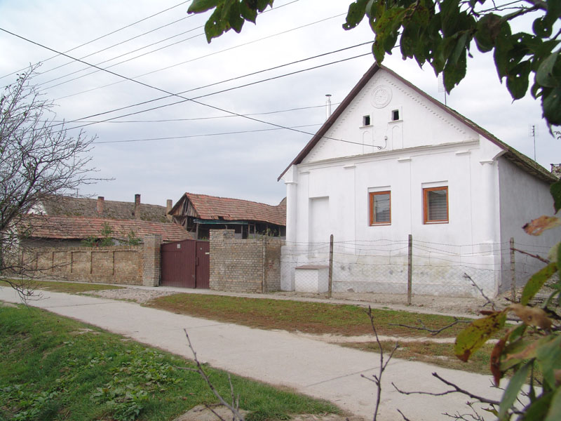 DSC00584.JPG