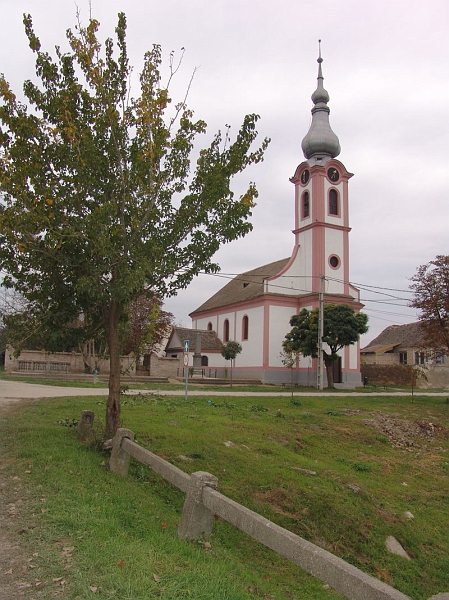DSC00594.JPG