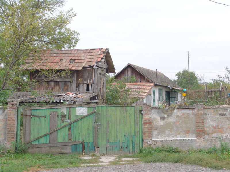 DSC00605.JPG
