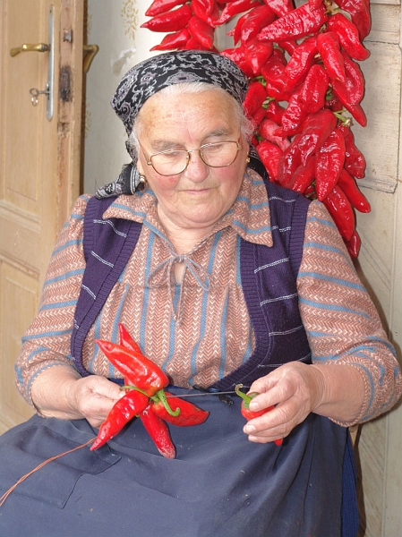 DSC00672.JPG