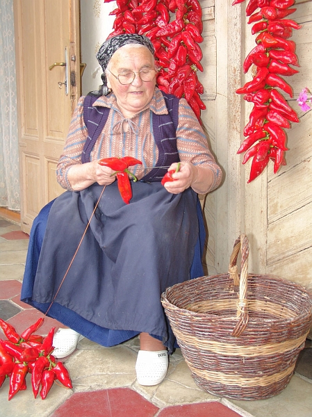 DSC00673.JPG