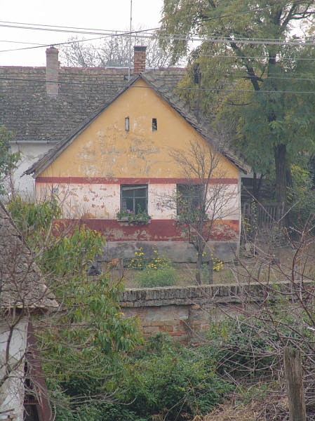 DSC00677.JPG