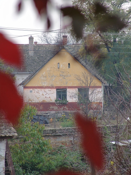 DSC00678.JPG