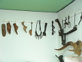 DSC00660