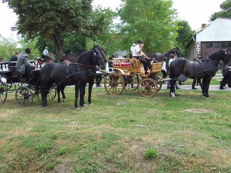 DSCF9797.JPG