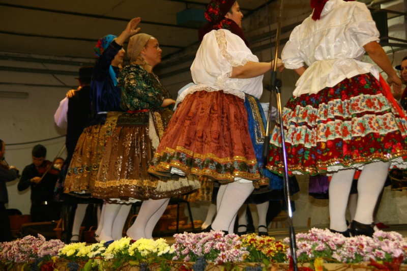 IMG_1908.JPG