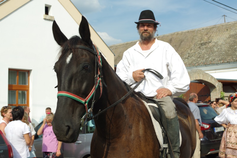 LEVI4055.JPG