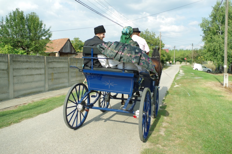 LEVI4068.JPG