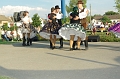 LEVI4195