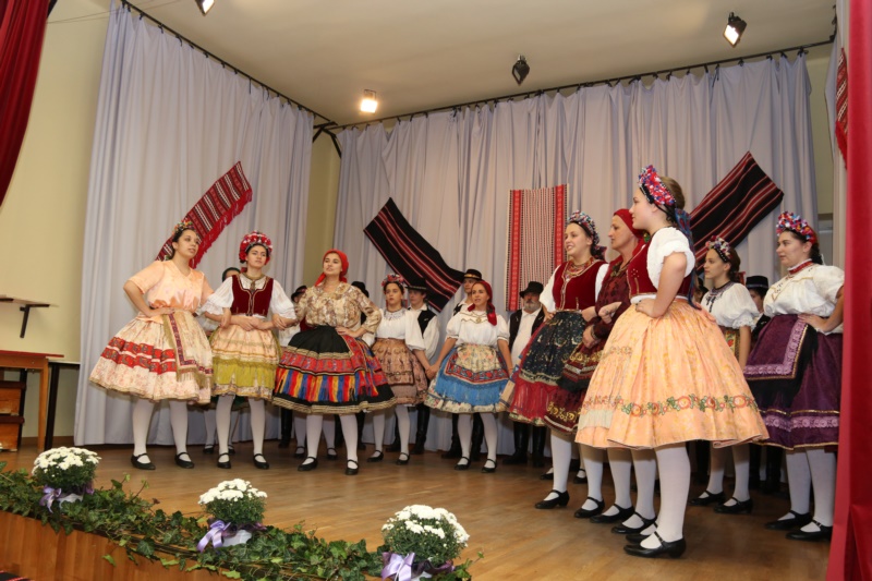 IMG_3566.JPG