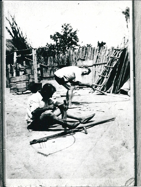 116.jpg