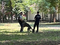 080