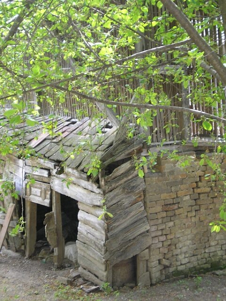 image20.jpg